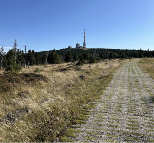 Auf dem Foto seht ihr den frueheren Grenzweg. Ich glaube dass es oft Grenzwege sind die wir gehen.